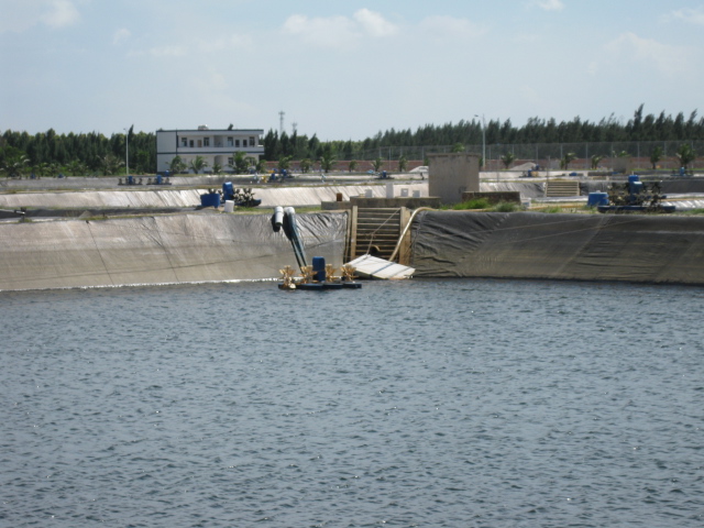 590052_orig