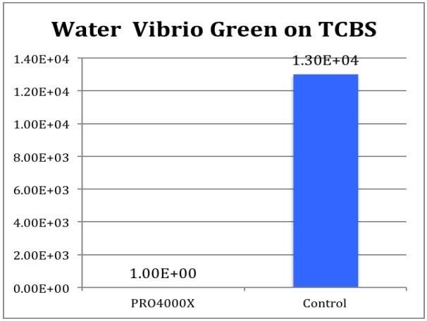 Vibrio(비브리오균) 통제