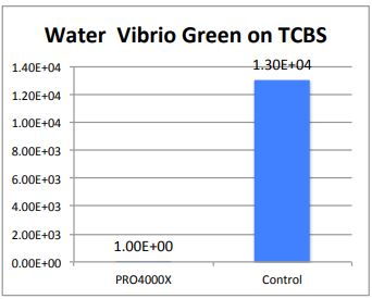 Water Vibrio Green on TCBS.JPG