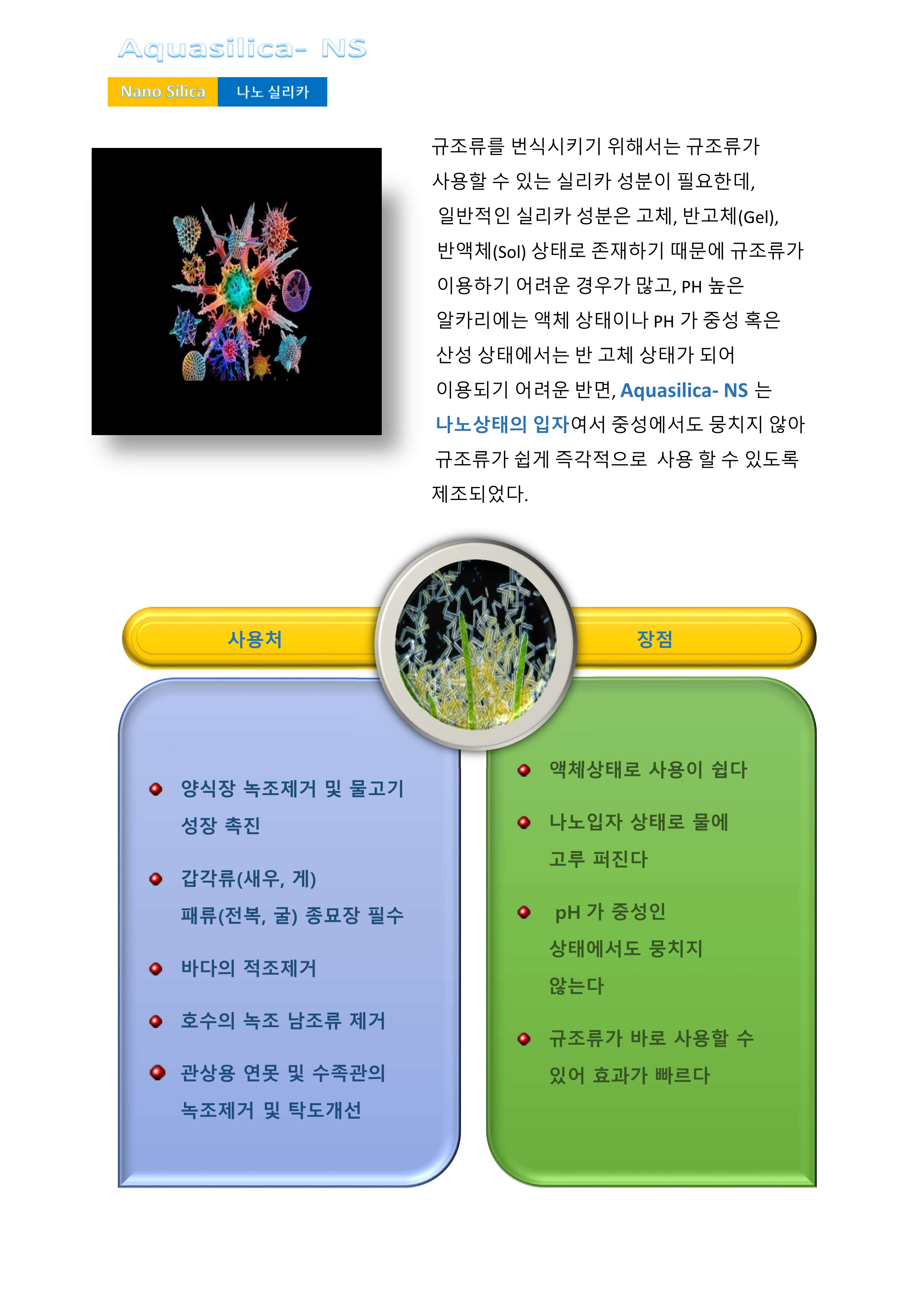 Aquasilica-NS Brochure_3.png Aquasilica-NS Brochure_3.png